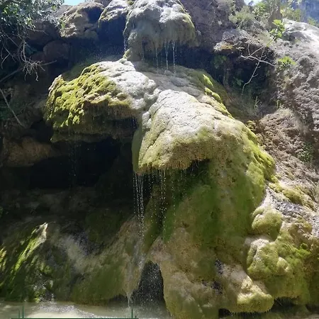 El Majuelo