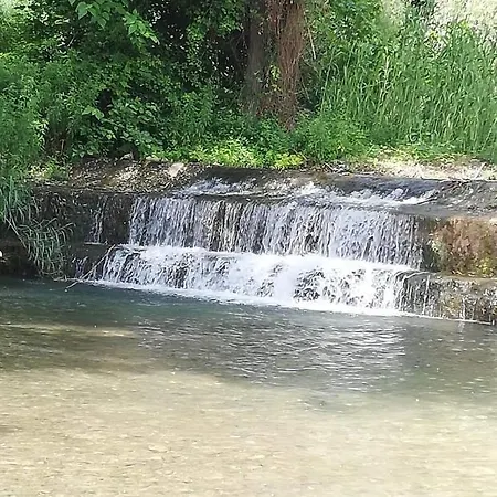 El Majuelo