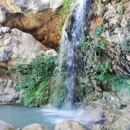 El Majuelo *