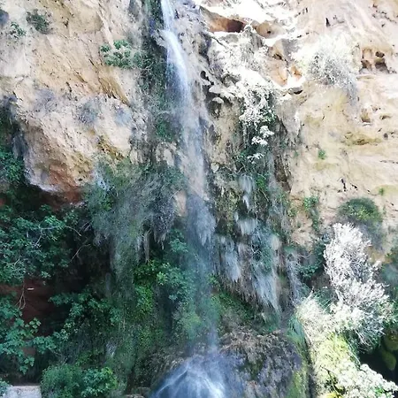 El Majuelo Portera